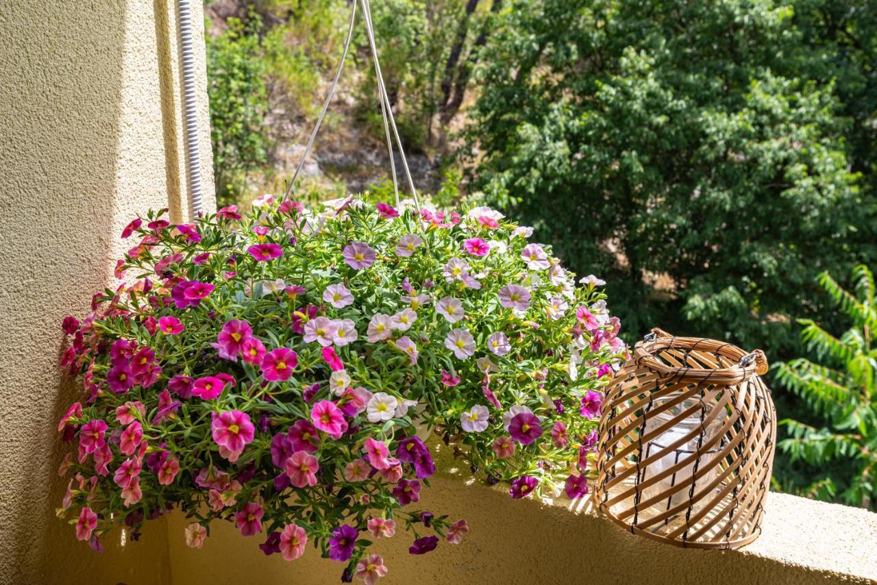 Apartment Maris2 Novigrad  Eksteriør bilde