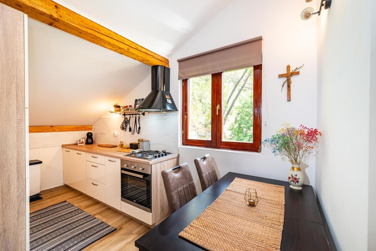 Apartment Maris2 Novigrad  Eksteriør bilde