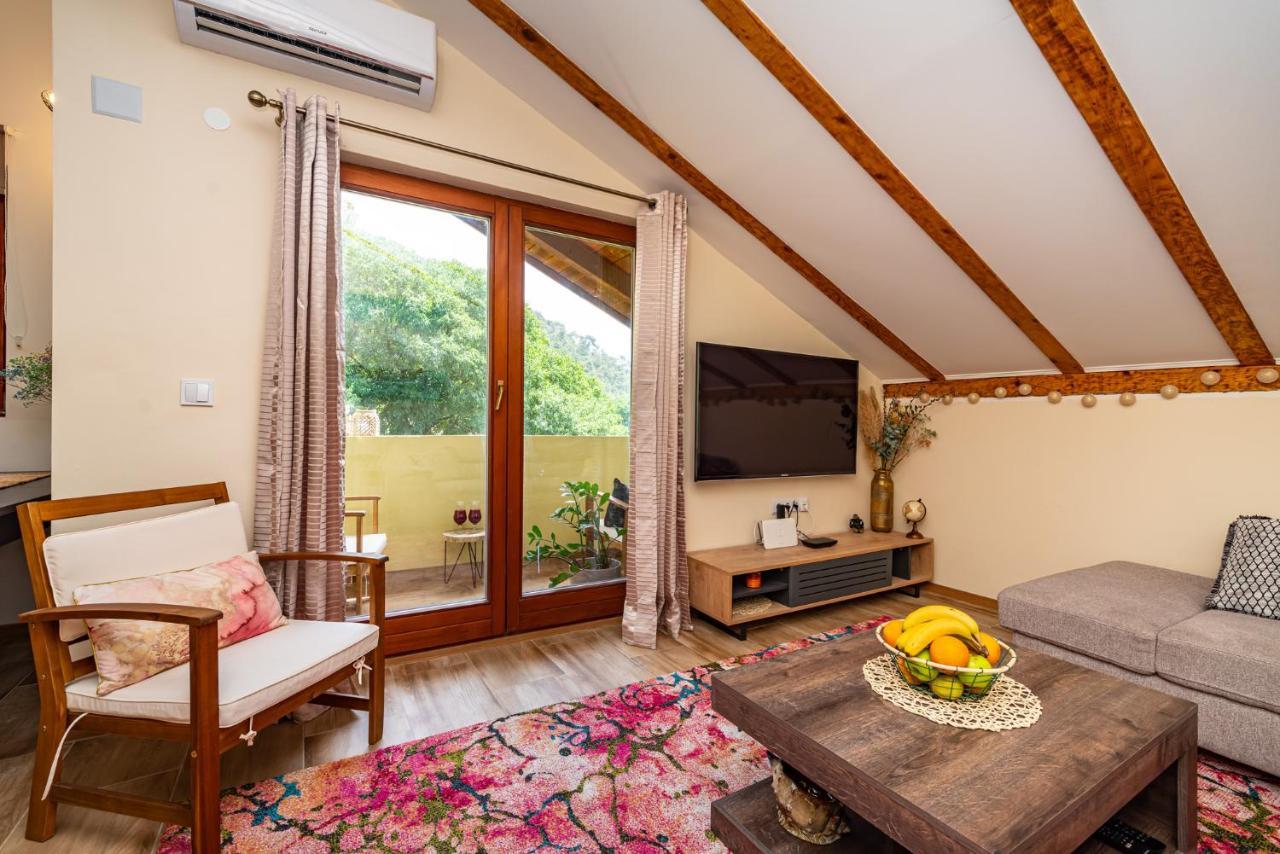 Apartment Maris2 Novigrad  Eksteriør bilde