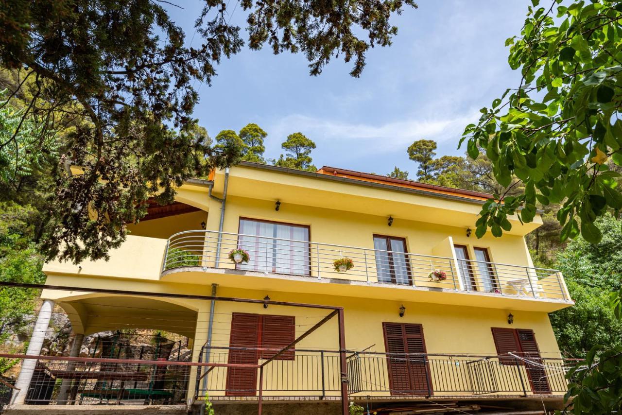 Apartment Maris2 Novigrad  Eksteriør bilde